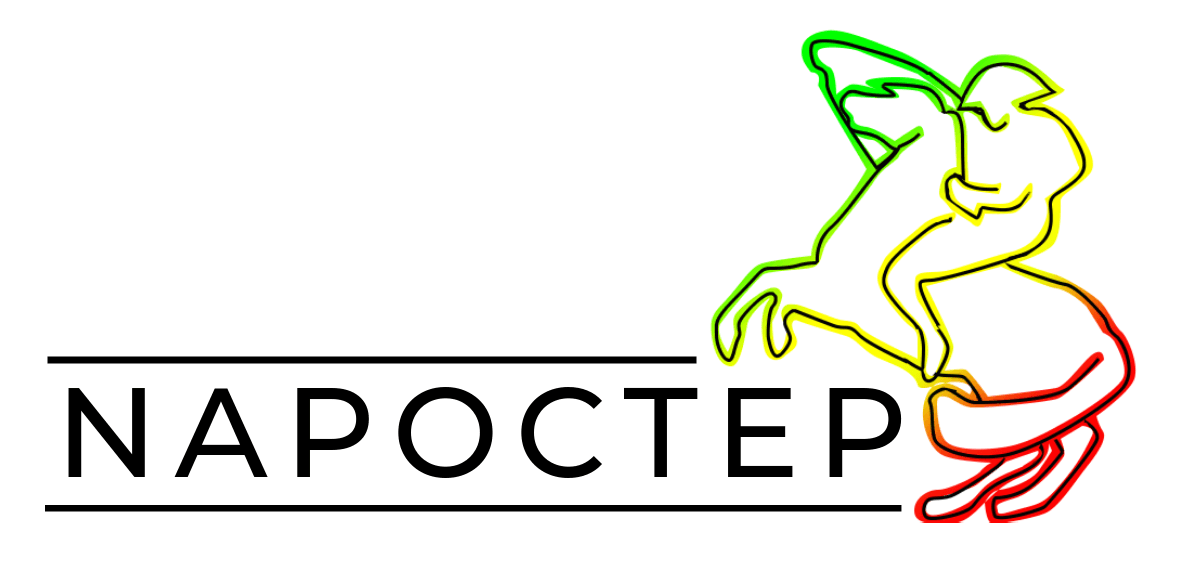 NAPOCTEP will be present at the Project Seminar of the Second Call of the POCTEP in Seville