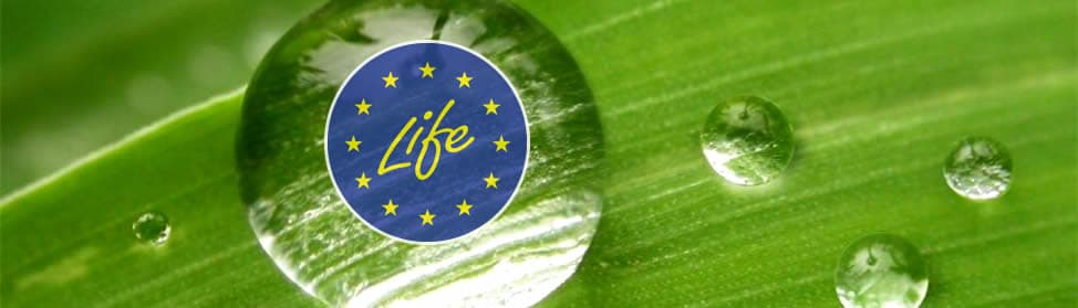 LIFE launches 2017 call for action grants: more than €373 million available / LIFE lanza su convocatoria 2017: más de 373 millones de euros disponibles