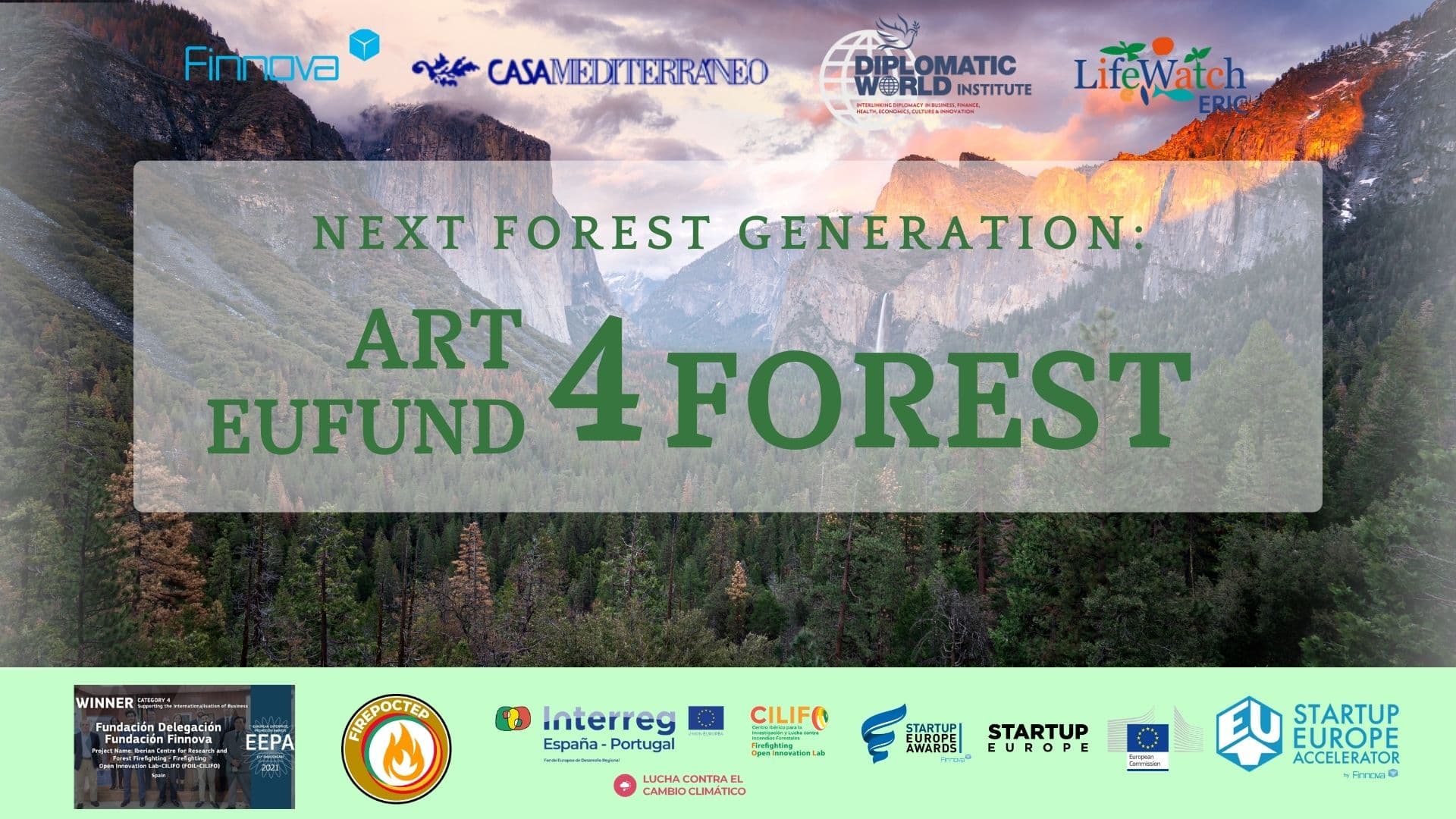 ¡El concurso internacional de fotografía Art4Forest ya tiene ganadores!