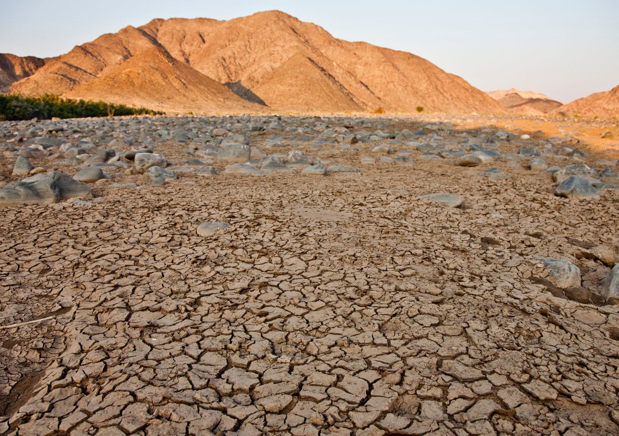 La Fundación Finnova se alinea con el Día Internacional contra el Cambio Climático