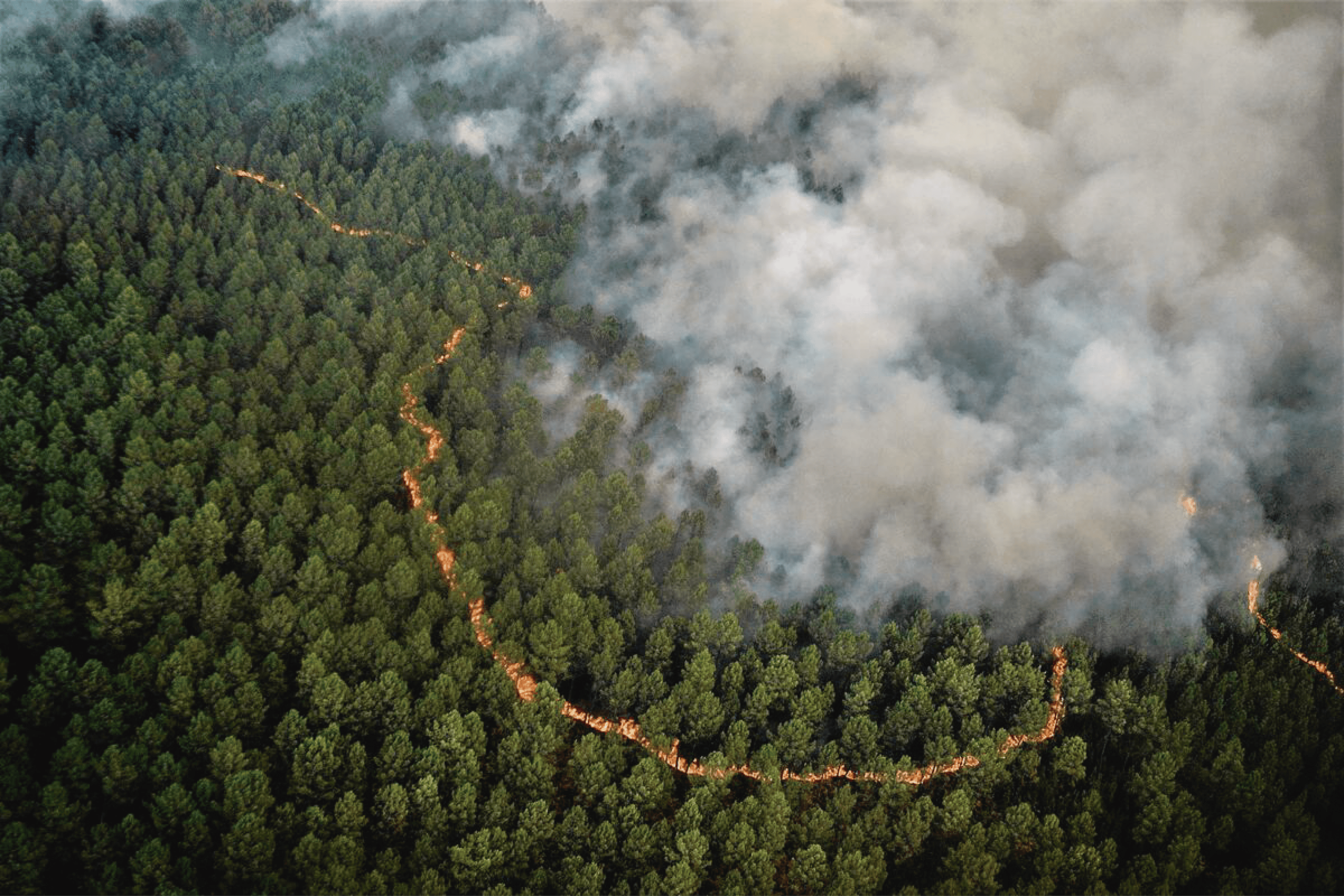 La Fundación Finnova celebra la aprobación del acuerdo provisional sobre una nueva Directiva de la UE sobre delitos medioambientales