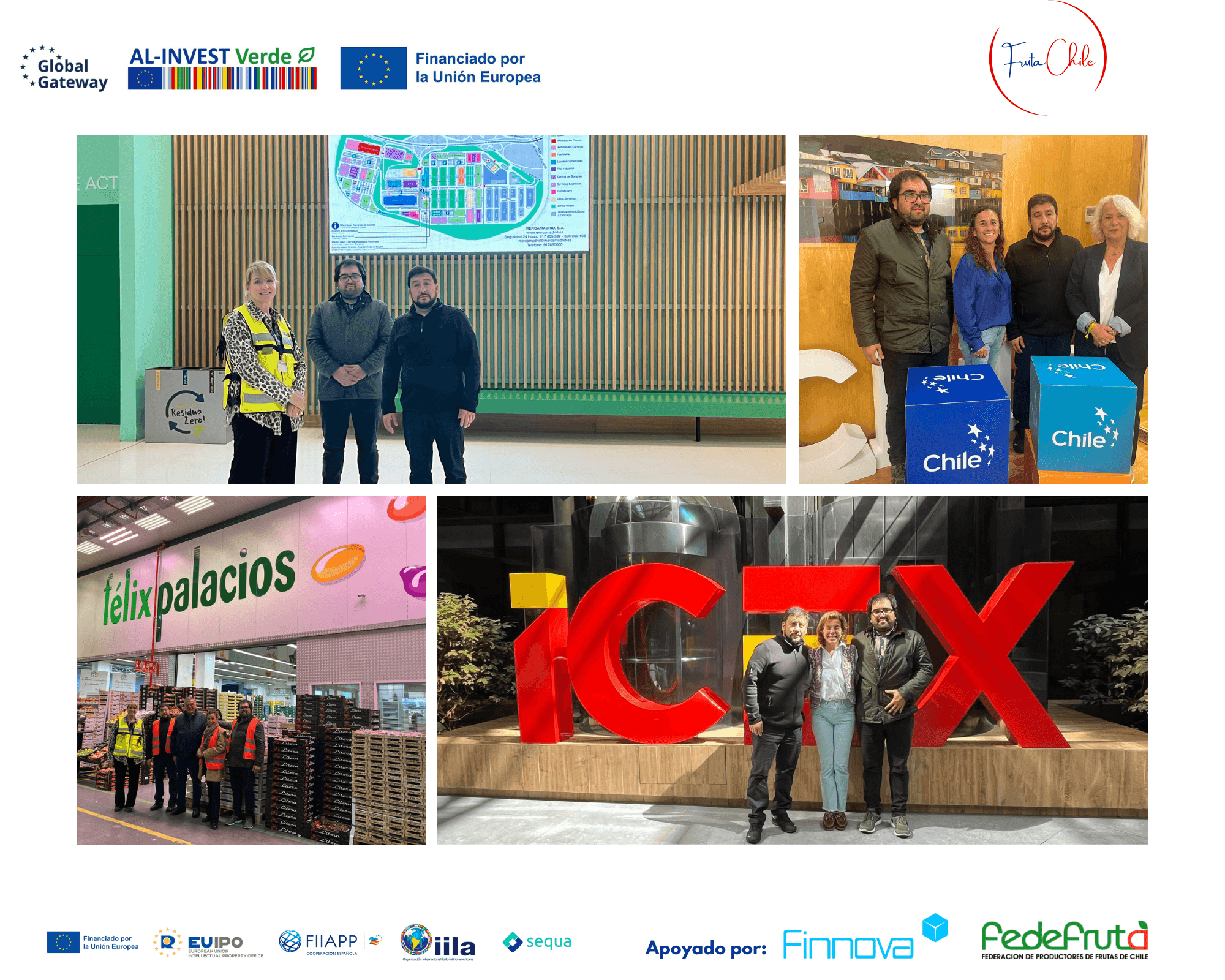 El proyecto AL-Invest Verde para impulsar la sostenibilidad en el sector frutícola de Chile aterriza en Madrid de la mano de Finnova y Fedefruta