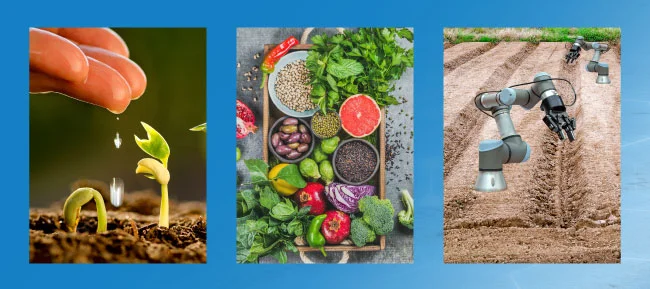 Smart Agrifood Summit: Last days of the Call for Start-ups