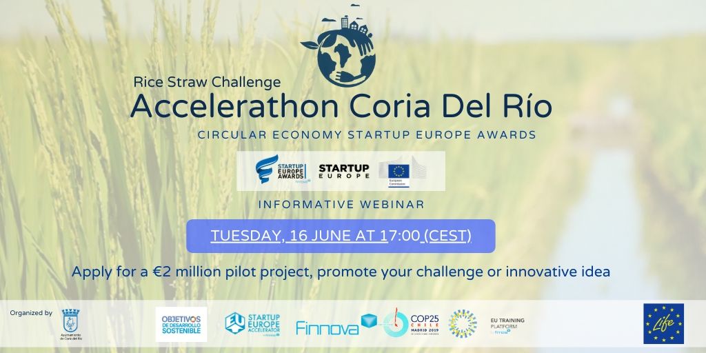 Coria del Río launches an Accelerathon of open innovation about circular economy and rice straw