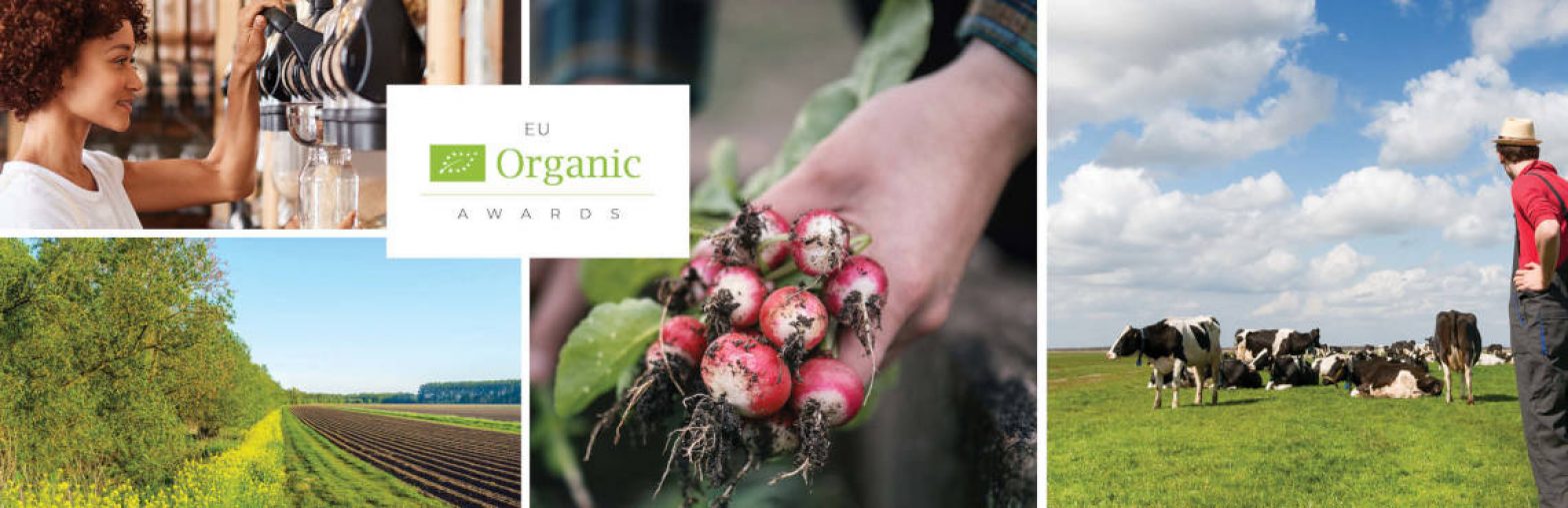 La UE convoca los primeros premios ecológicos