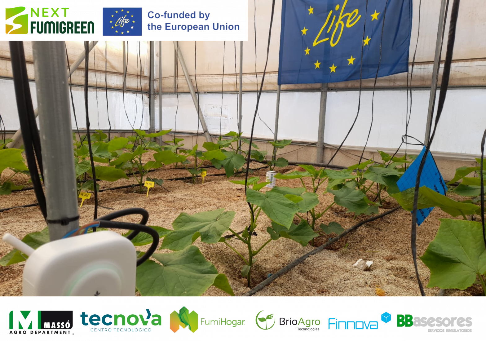 Ensayos preliminares del proyecto LIFE NextFUMIGREEN en el Centro Experimental Tecnova