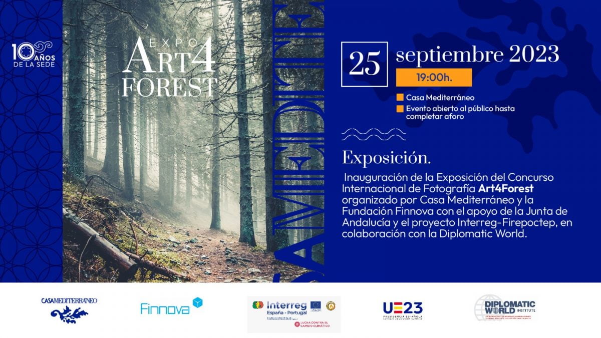 Casa Mediterráneo, en Alicante, acogerá a partir del lunes 25 de septiembre la exposición Art4Forest