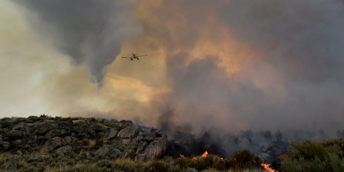 La temporada de incendios forestales de 2023, entre las peores de la UE, según un nuevo informe de la Comisión