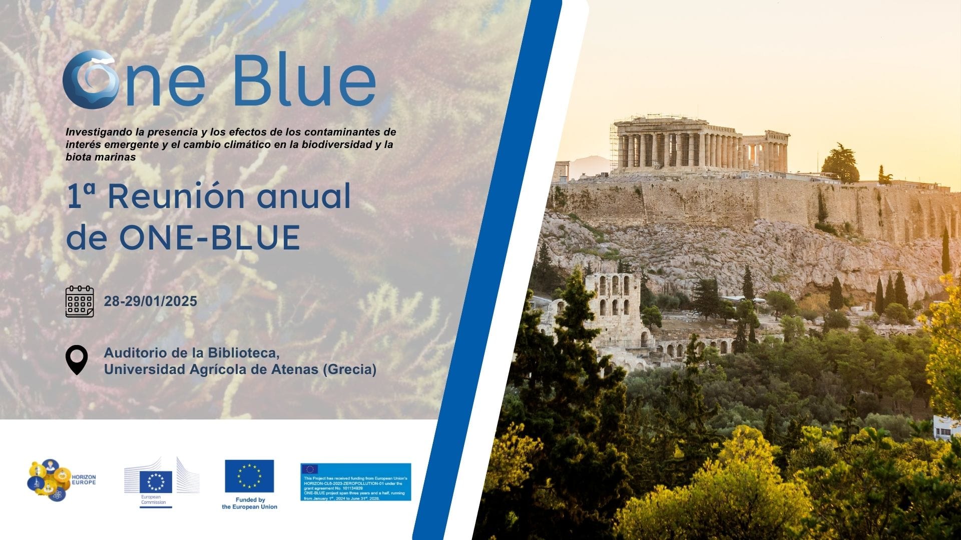 La Fundación Finnova organiza en Atenas una reunión técnica con stakeholders locales para el proyecto ONE-BLUE