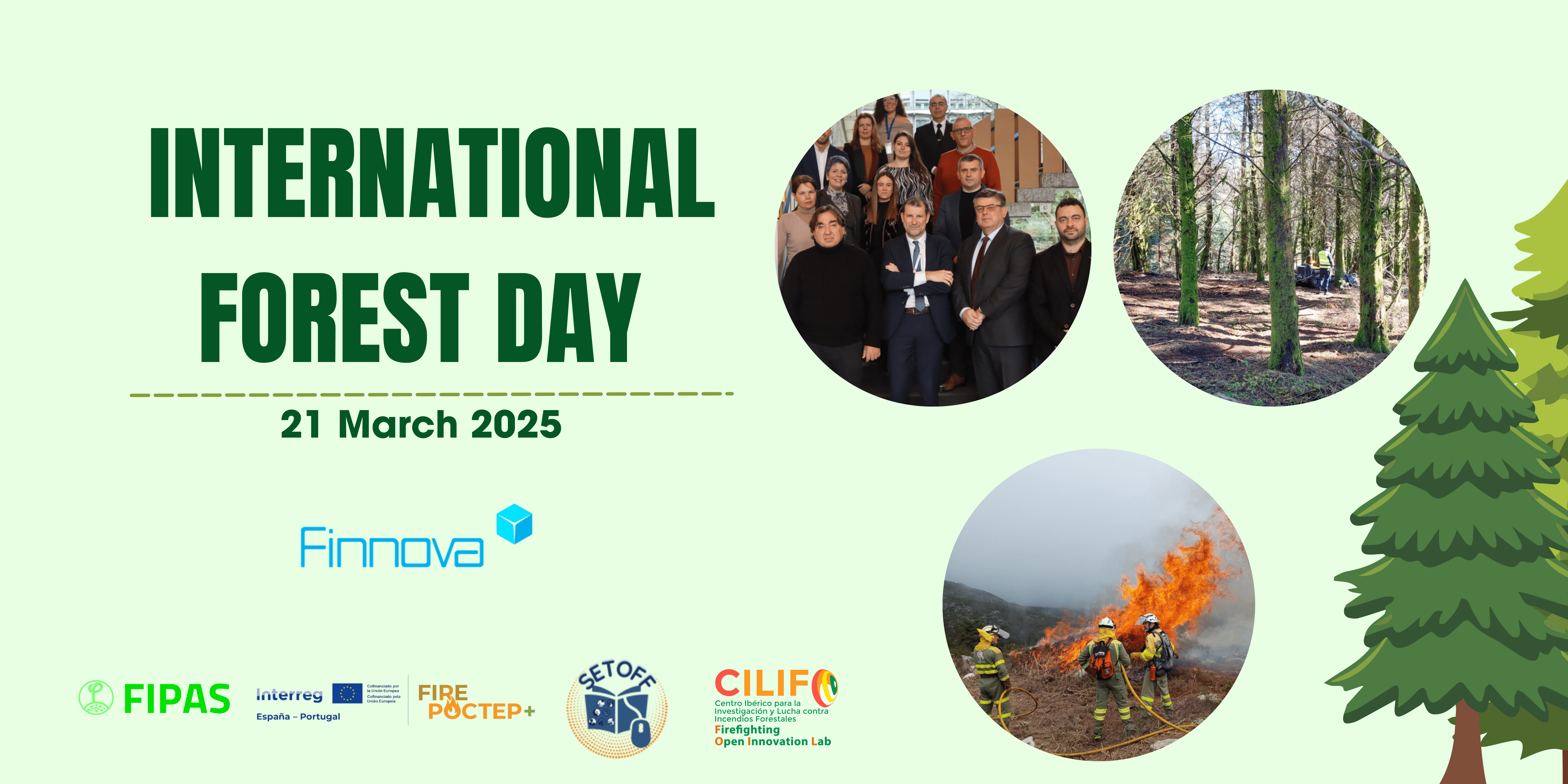 Finnova takes advantage of the International Day of Forests to raise awareness on sustainable management and forest ecosystems conservation