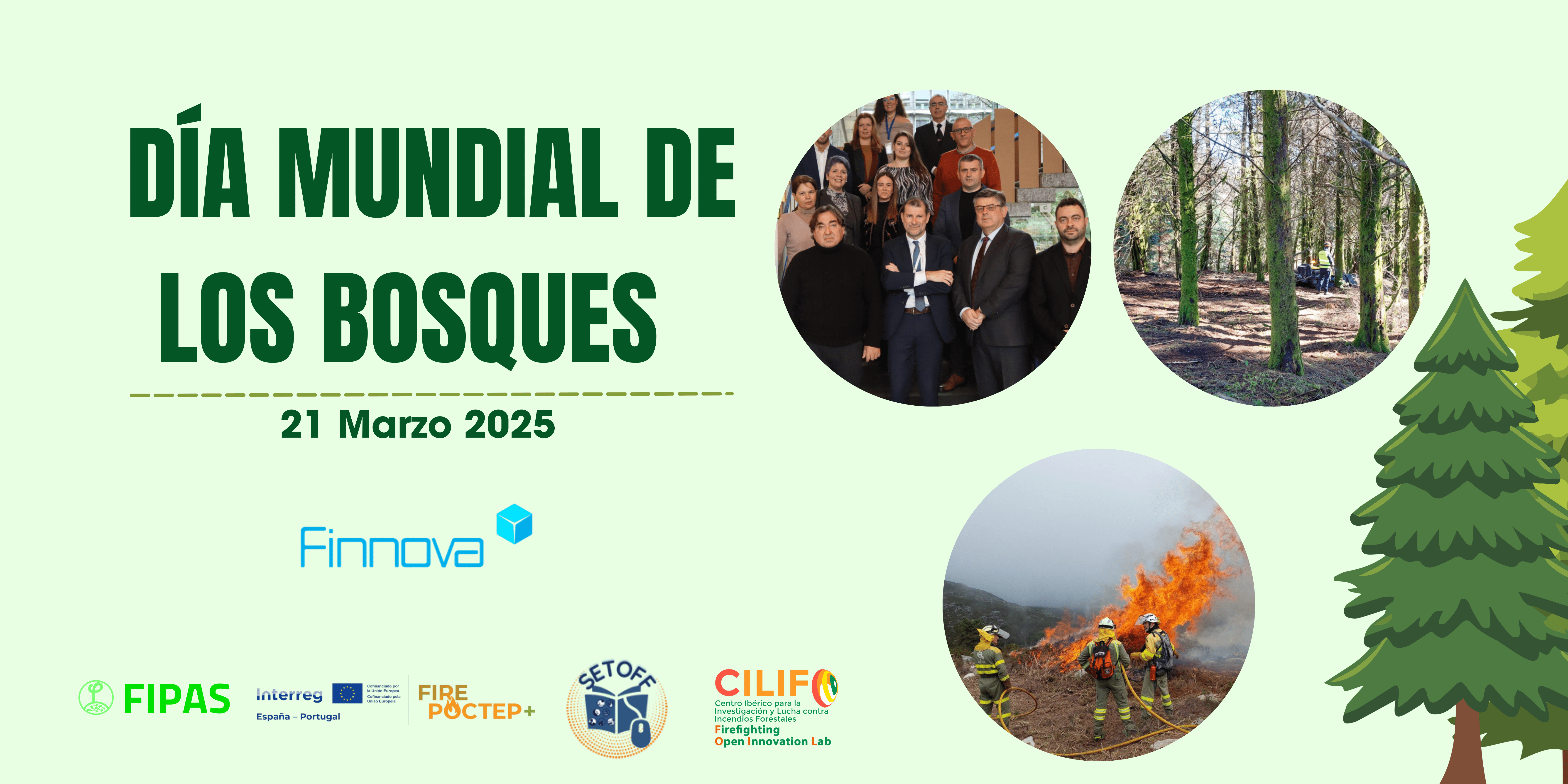 Finnova aprovecha el Día Mundial de los Bosques para concienciar sobre la gestión sostenible y la conservación de los ecosistemas forestales