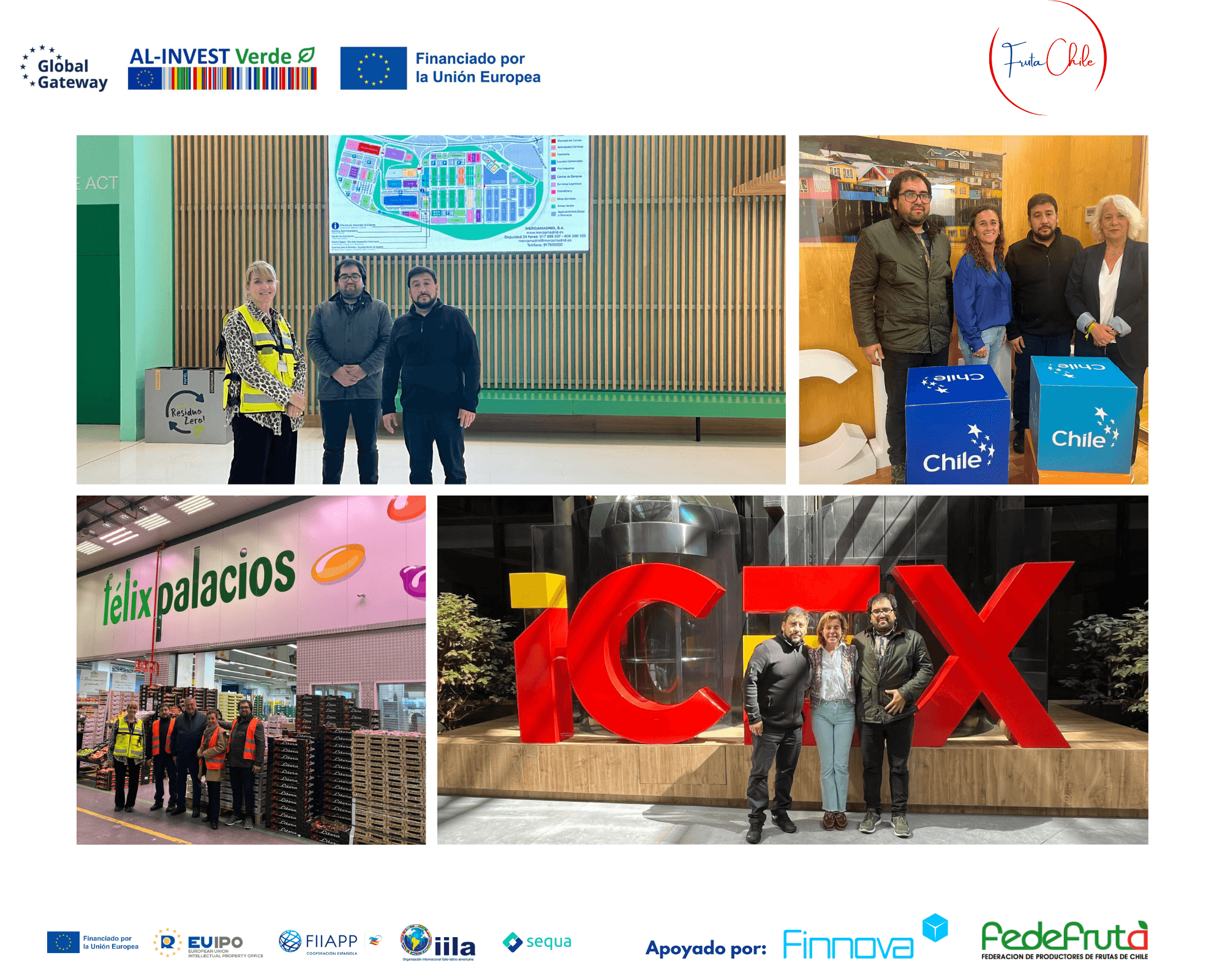 El proyecto AL-Invest Verde para impulsar la sostenibilidad en el sector frutícola de Chile aterriza en Madrid de la mano de Finnova y Fedefruta