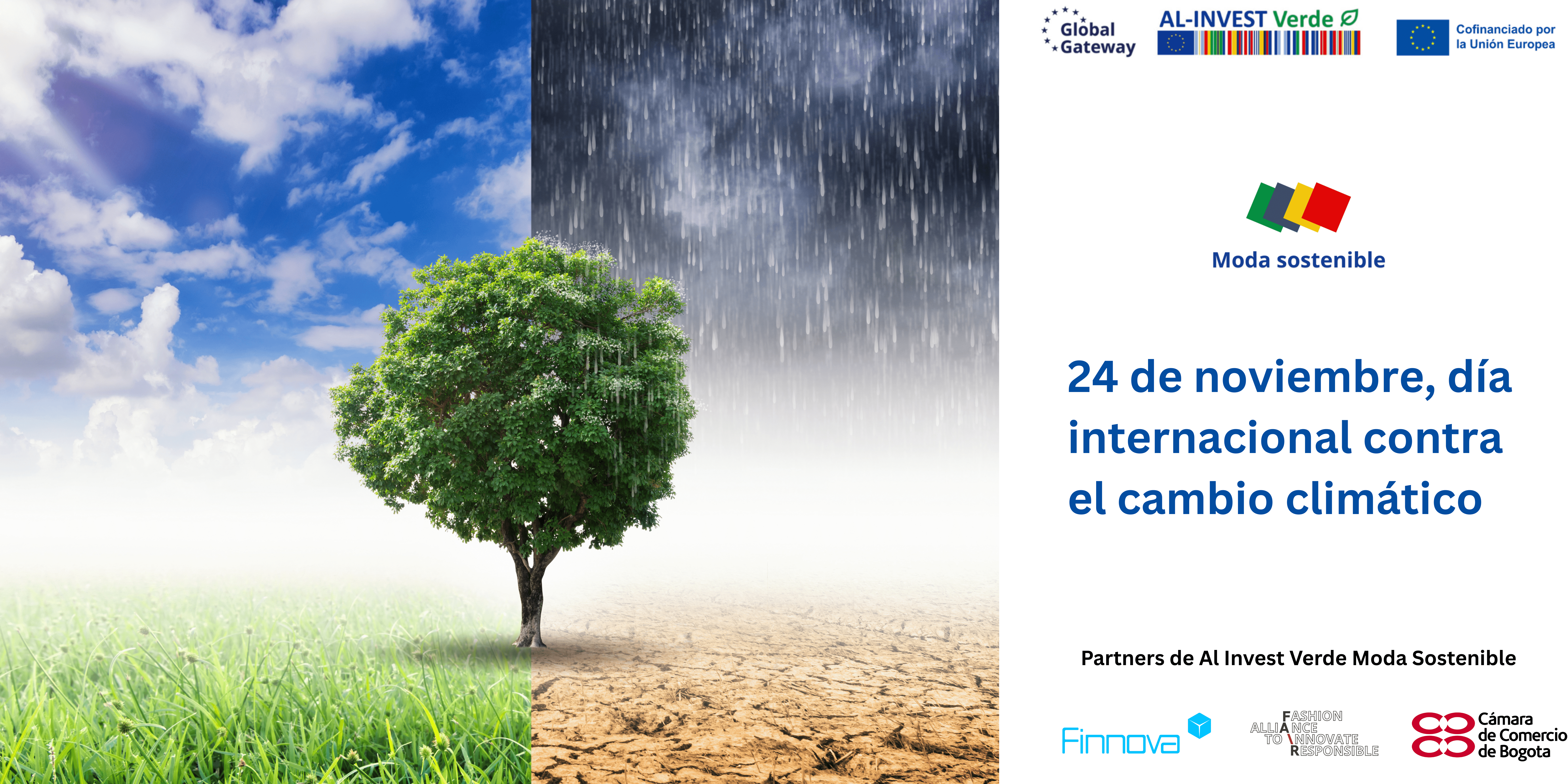 El sector textil sostenible, clave en la lucha contra el cambio climático